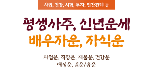 평생사주, 신년운세 배우자운, 자식운